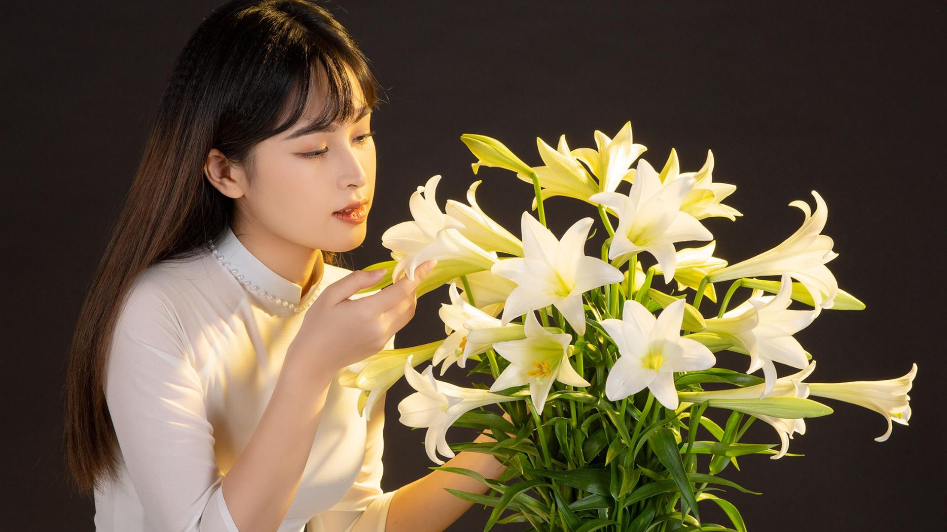 Cách Trồng Hoa Bách Hợp